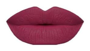 Velvet Satin Liquid Lipstick “ Gorgeous Satin”