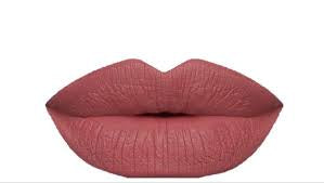 Velvet Matte Liquid Lipsticks “City Girl”