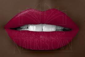 Velvet Matte Liquid Lipstick “ Just in Time”