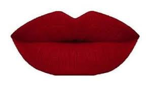 Velvet Matte Liquid Lipstick “Kiss Me”